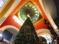 Beautiful Christmas tree at the center of the Queen Victoria building.